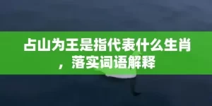 占山为王是指代表什么生肖，落实词语解释