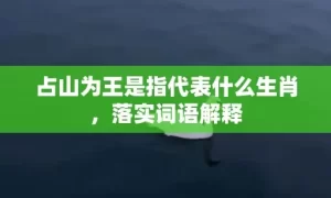 占山为王是指代表什么生肖，落实词语解释