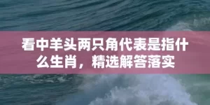 看中羊头两只角代表是指什么生肖，精选解答落实