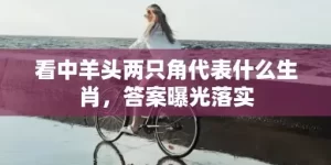 看中羊头两只角代表什么生肖，答案曝光落实