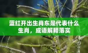 蓝红开出生肖东是代表什么生肖，成语解释落实