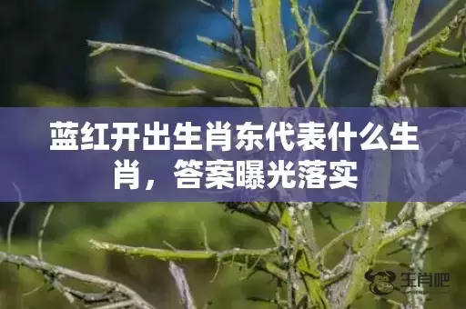 蓝红开出生肖东代表什么生肖，答案曝光落实