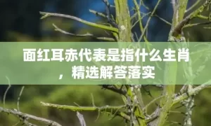 面红耳赤代表是指什么生肖，精选解答落实