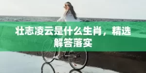 壮志凌云是什么生肖，精选解答落实