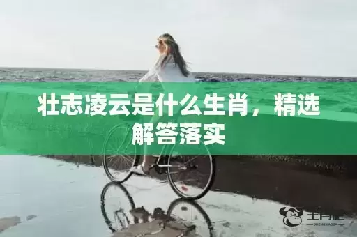壮志凌云是什么生肖，精选解答落实