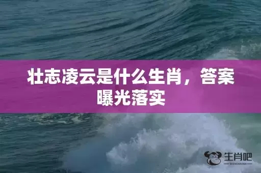 壮志凌云是什么生肖，答案曝光落实