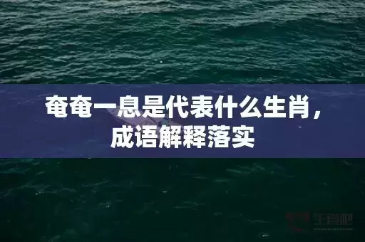 奄奄一息是代表什么生肖，成语解释落实