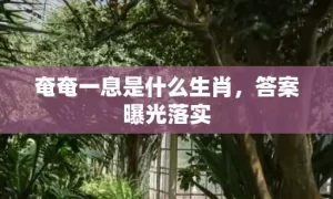 奄奄一息是什么生肖，答案曝光落实