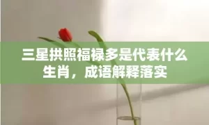 三星拱照福禄多是代表什么生肖，成语解释落实