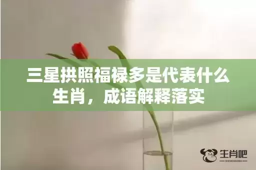 三星拱照福禄多是代表什么生肖，成语解释落实