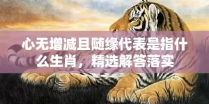 心无增减且随缘代表是指什么生肖，精选解答落实