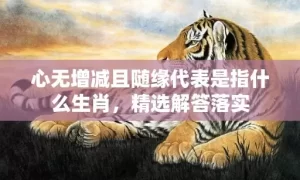 心无增减且随缘代表是指什么生肖，精选解答落实