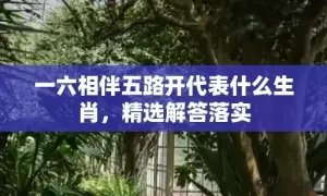 一六相伴五路开代表什么生肖，精选解答落实