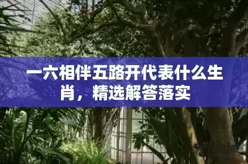 一六相伴五路开代表什么生肖，精选解答落实