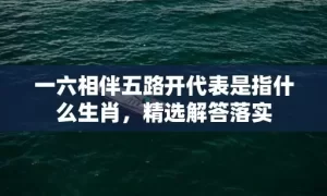 一六相伴五路开代表是指什么生肖，精选解答落实