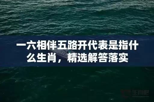 一六相伴五路开代表是指什么生肖，精选解答落实