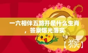 一六相伴五路开是什么生肖，答案曝光落实