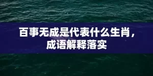 百事无成是代表什么生肖，成语解释落实