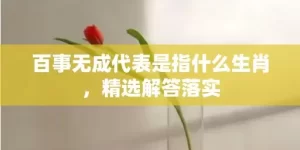 百事无成代表是指什么生肖，精选解答落实