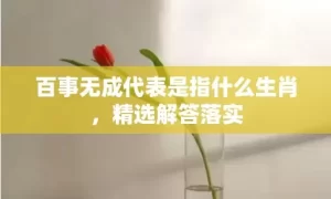 百事无成代表是指什么生肖，精选解答落实