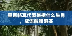 垂首帖耳代表是指什么生肖，成语解释落实