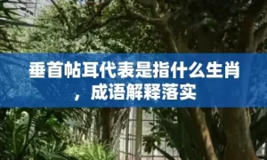 垂首帖耳代表是指什么生肖，成语解释落实