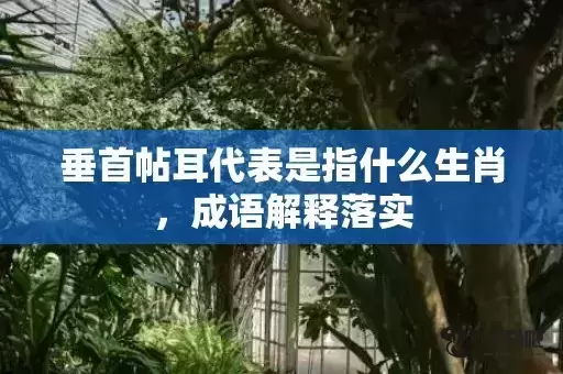垂首帖耳代表是指什么生肖,成语解释落实 垂首帖耳代表是指什么生肖,成语解释落实