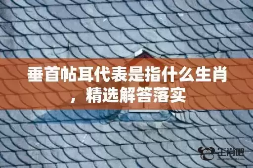 垂首帖耳代表是指什么生肖，精选解答落实