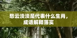 愁云淡淡是代表什么生肖，成语解释落实