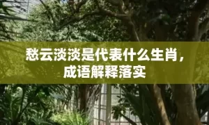 愁云淡淡是代表什么生肖，成语解释落实