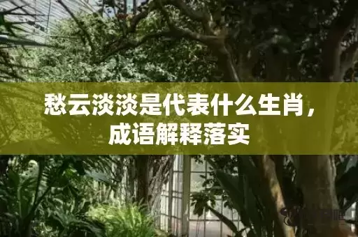愁云淡淡是代表什么生肖,成语解释落实 愁云淡淡是代表什么生肖,成语解释落实