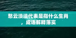 愁云淡淡代表是指什么生肖，成语解释落实