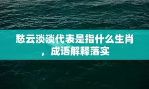 愁云淡淡代表是指什么生肖，成语解释落实