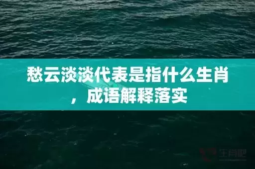 愁云淡淡代表是指什么生肖，成语解释落实
