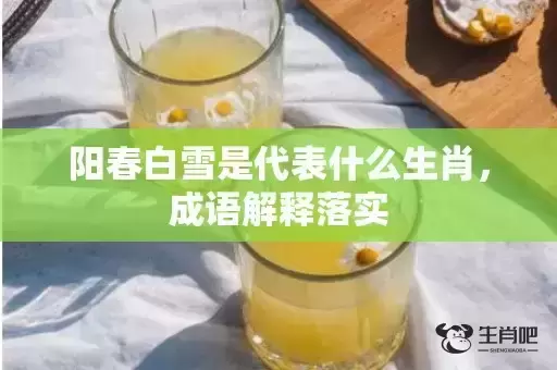 阳春白雪是代表什么生肖，成语解释落实