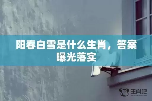 阳春白雪是什么生肖，答案曝光落实