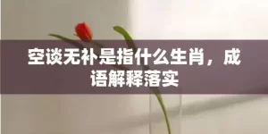 空谈无补是指什么生肖，成语解释落实