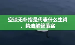 空谈无补指是代表什么生肖，精选解答落实