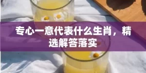 专心一意代表什么生肖，精选解答落实