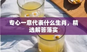 专心一意代表什么生肖，精选解答落实