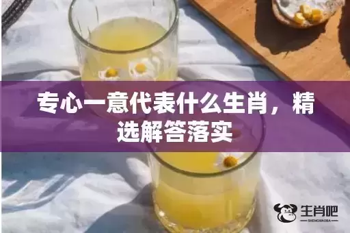 专心一意代表什么生肖,精选解答落实 专心一意代表什么生肖,精选解答落实