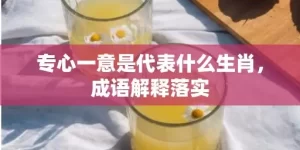 专心一意是代表什么生肖，成语解释落实