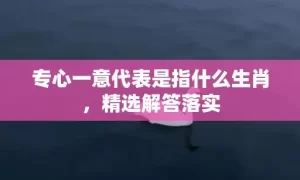 专心一意代表是指什么生肖，精选解答落实