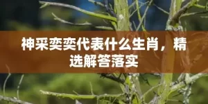 神采奕奕代表什么生肖，精选解答落实