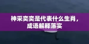 神采奕奕是代表什么生肖，成语解释落实