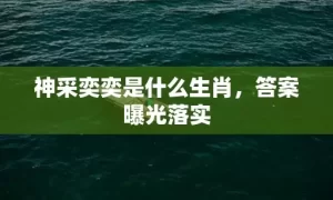 神采奕奕是什么生肖，答案曝光落实