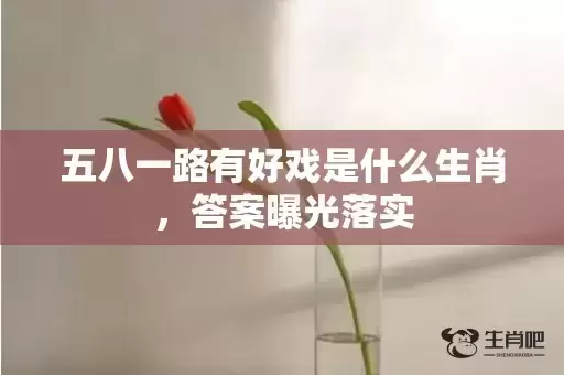 五八一路有好戏是什么生肖，答案曝光落实