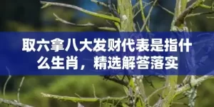 取六拿八大发财代表是指什么生肖，精选解答落实