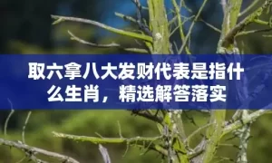 取六拿八大发财代表是指什么生肖，精选解答落实