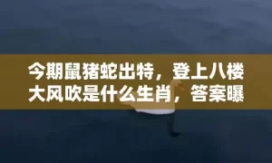 今期鼠猪蛇出特，登上八楼大风吹是什么生肖，答案曝光落实